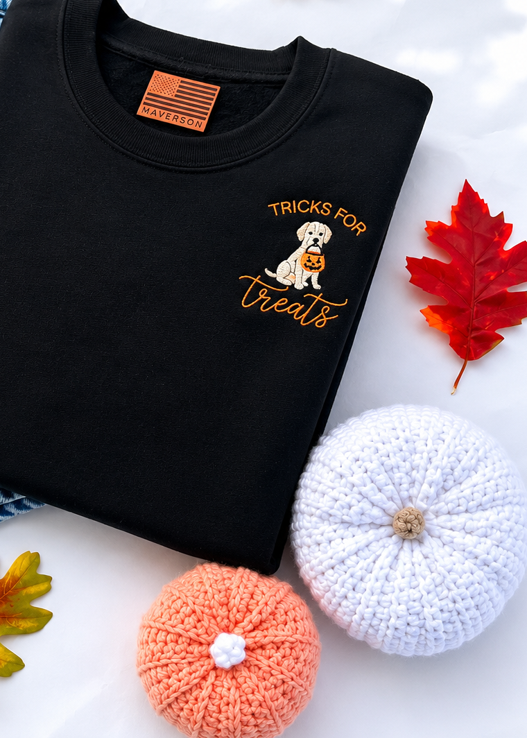 Black sweatshirt with a dog graphic and text, surrounded by pumpkins and leaves on a white background